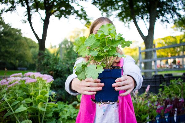 Klimaatkrachtig Delfland tweet media