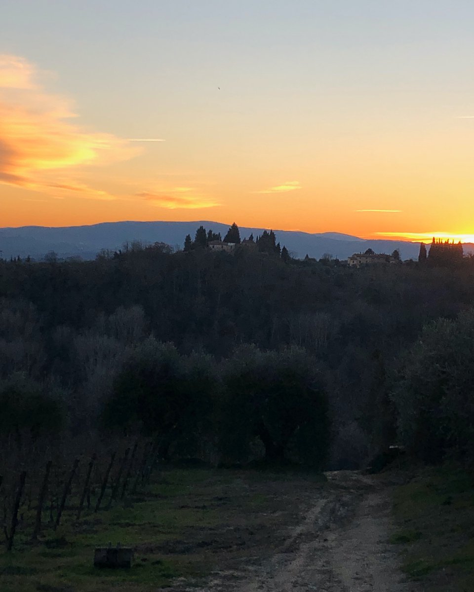 VignanoVineyard's tweet photo. #summernights #sunsets #vineyardviews #endofday #vineyardshots #specialviews #vineyard #italianwines #organicwines #lowinterventionwines #zerocompromise #vino #realwine #vinobiologico #organic #organicwine #biowein #artisanwines #estatebottled #vignano https://t.co/XwaAGYZMIx