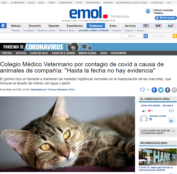 colmevetchile's tweet photo. Insistimos que, de acuerdo a la información oficial provista por la @opsoms , la @OIEAnimalHealth , y @VetsWSAVA , "hasta la fecha no hay evidencia científica de que los animales de compañía sean una fuente de infección para las personas y otros animales".
https://t.co/lLcJASXTh8 https://t.co/10olRWCHVd