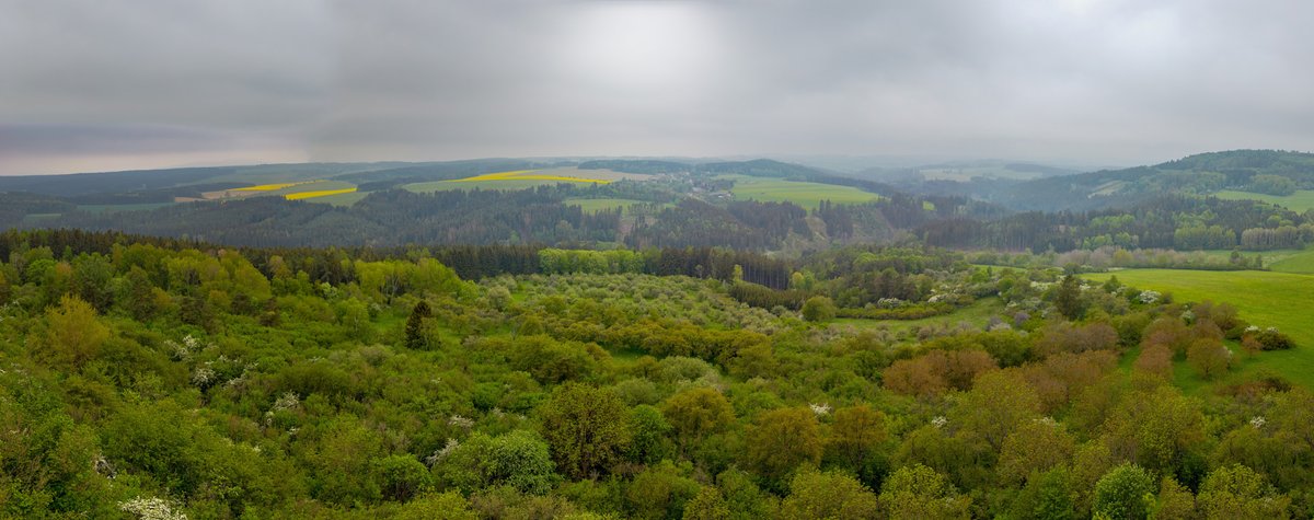 AKPenzion's tweet photo. Jarní pohled z hradu Švamberk od https://t.co/dSf0m8k947
#ubytování #plzeň #penzion #cestovani #photography #travel #turistika #flowers #wood #nature #krajina #hrad #okoliplzne https://t.co/31iXrnVcSR