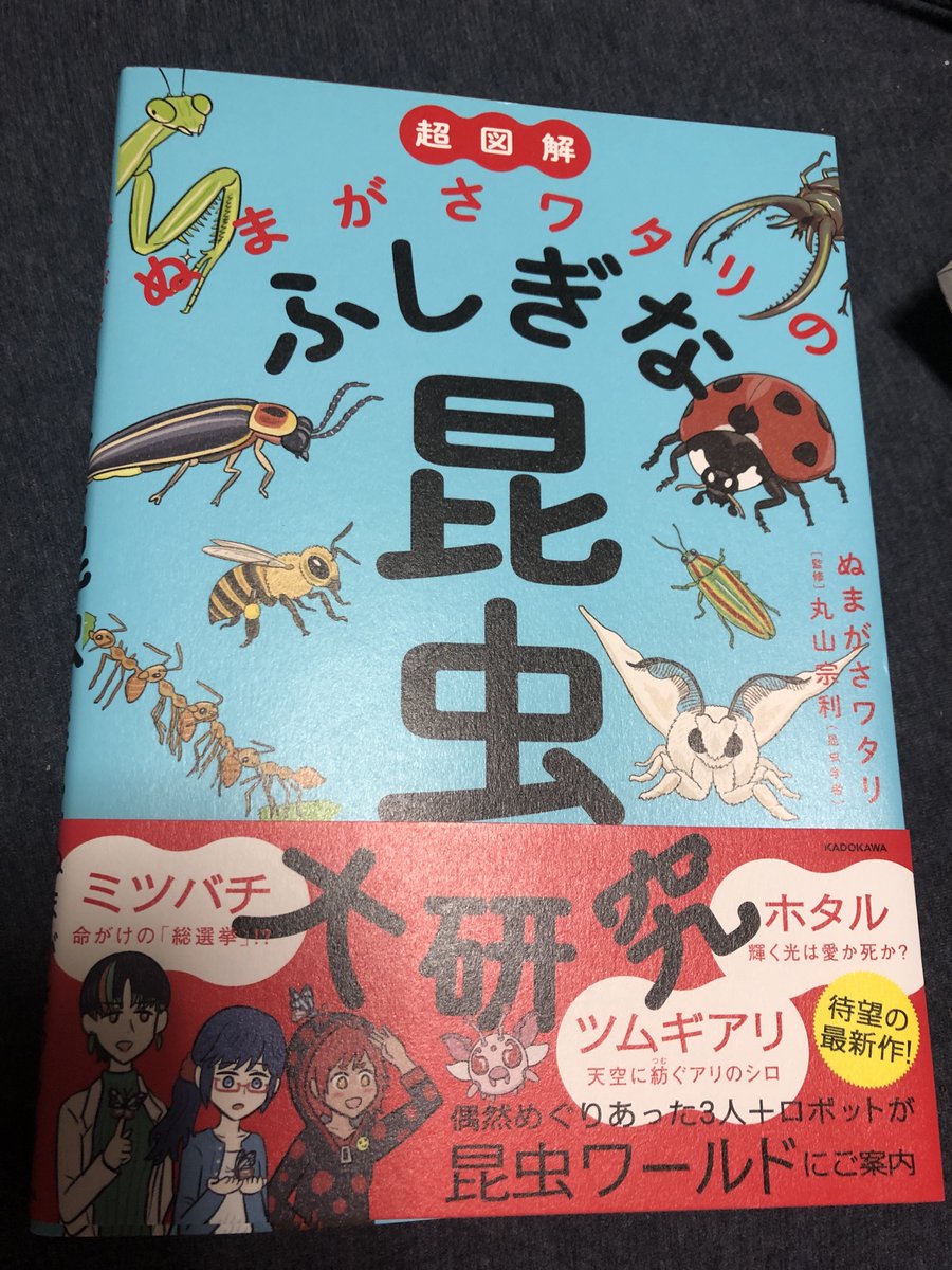 ちょうど流れで『ふしぎな昆虫大研究』を読み返して「いやおもしれ〜なこの本…」と自画自賛(まさに)していたのでタイムリーである。なんか定期的にそういう日があるのだ(逆に過去作を見返して「は〜ダメだわ…精進せな…」みたいに凹む日もあるが) 