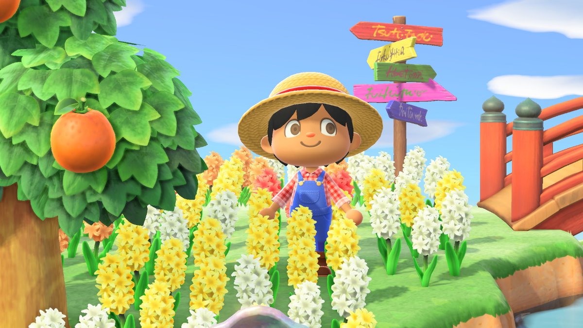 Playin_CatchUp's tweet photo. #AnimalCrossing #ACNH #NintendoSwitch https://t.co/Jcu4NyPlfA