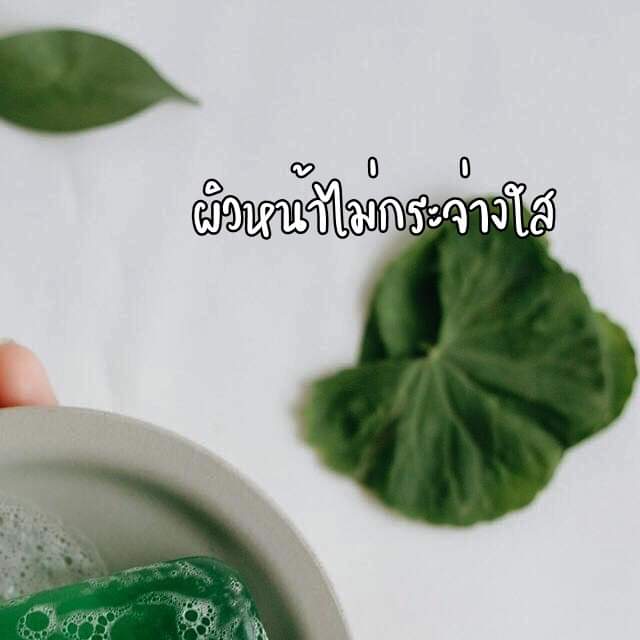 สบู่ใบบัวบก ชาริยา🍀📦✨ tweet media