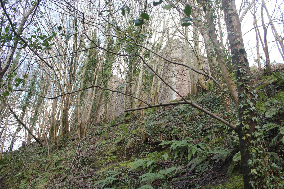 Another complex historic wooded landscape studied for  @HistEnvScot, this time Doune Castle -remnants of the medieval Wood of Doune survive mainly as earthworks, but tree planting & landscape works on estate continued well after Castle's occupation ended  #MuseumsUnlocked  #Castles