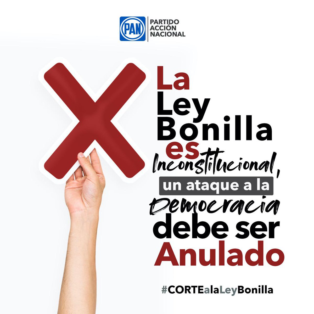PAN_BajaCal's tweet photo. ¡Que nadie pase por encima de la constitución! Todo México está atento para que la @SCJN defienda la democracia. ¡Ningún gobernante puede cambiar la ley a su antojo para prolongar su periodo en el poder! #CORTEalaLeyBonilla https://t.co/cBD8h5kddt