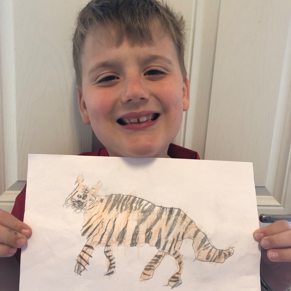 Laidlaw66's tweet photo. Austin has drawn a tiger for the mini art gallery. #SmilerTasks @Smeaton2019 @Acreheads7ST https://t.co/irimUS4YNv