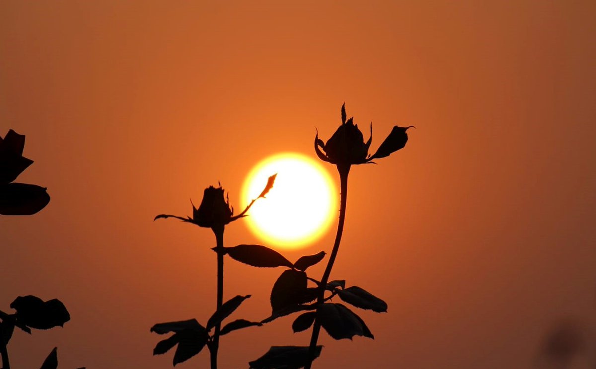 sreekar0107's tweet photo. Theme photography.
Theme- Sunset🌅
#MARPOINTS
#maractivities https://t.co/ZWlUkhBUsc