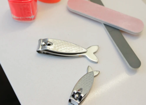 susan hodara tweet media