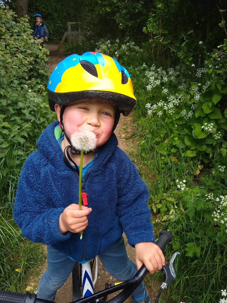 EileenBallard18's tweet photo. @ardeleyschool a morning for Maths, divisions and doubling number sentences, and some Zeus research and play dough sculpture. An afternoon 4 mile cycle, plenty of dandelions. No butterflies, all sheltering from the wind maybe. https://t.co/TiqAKqGwky