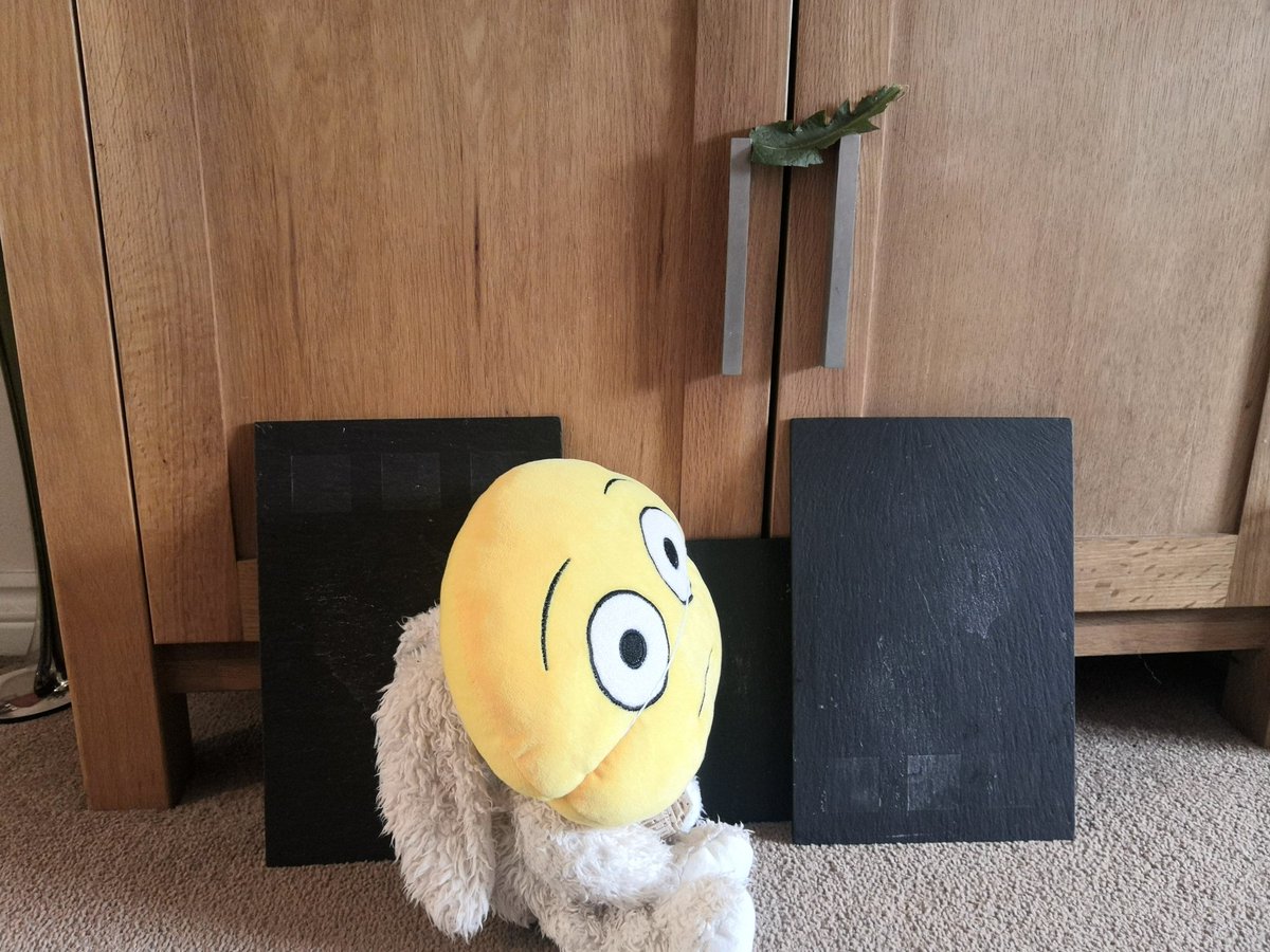LauraBluenose's tweet photo. @WoodvilleFed Freya liked Beegu as she thought it was really sweet and this is her copy cover. https://t.co/oGfSmzUrfu