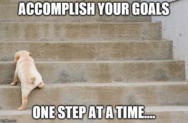 RentHomeFL's tweet photo. Happy Monday! https://t.co/fsVh33C7eG