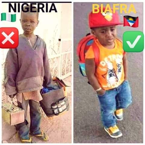 Mrsad246810's tweet photo. The Useless Almahjiri Verses and Our Biafran Child, who Rock pass...
#ChizzyC7Talk
#ZooIsEmpty #AsoRockIsEmpty https://t.co/BFVnLQ4YGK