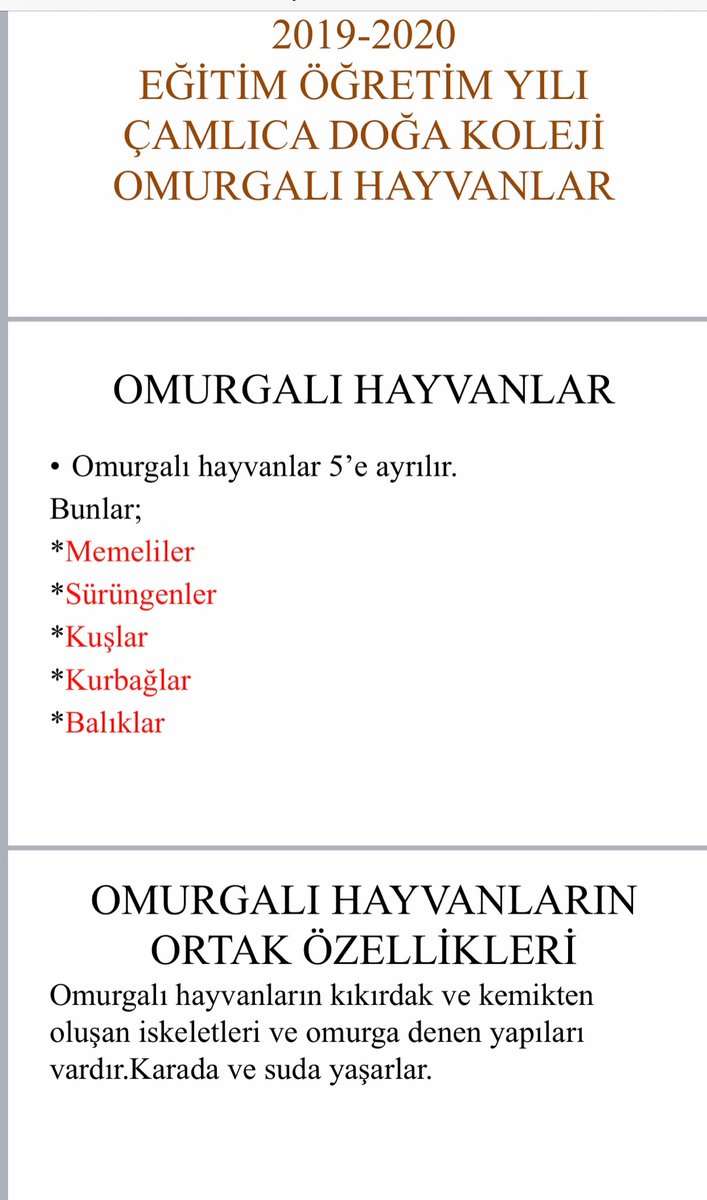 SelenDizdaroglu's tweet photo. Fen proje # Omurgalı Hayvanlar 🐟🐙🐸🐴# Doğam evimde 🐝🐝
@serozeren @AliRizaLule @mehmetkaracaitu @polatcenker @nurhansutlass @SerkanDemirDoga @eg_eylem @mftufekci @camlicadogaorta https://t.co/3Eb8cadjTm