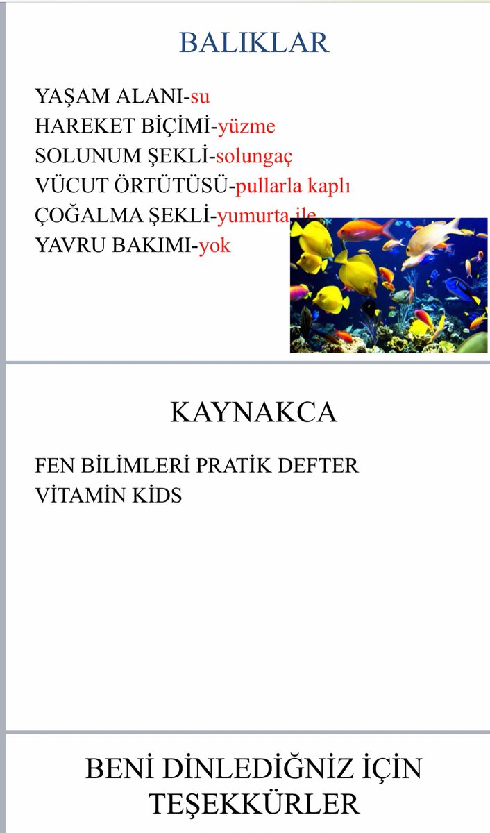 SelenDizdaroglu's tweet photo. Fen proje # Omurgalı Hayvanlar 🐟🐙🐸🐴# Doğam evimde 🐝🐝
@serozeren @AliRizaLule @mehmetkaracaitu @polatcenker @nurhansutlass @SerkanDemirDoga @eg_eylem @mftufekci @camlicadogaorta https://t.co/3Eb8cadjTm