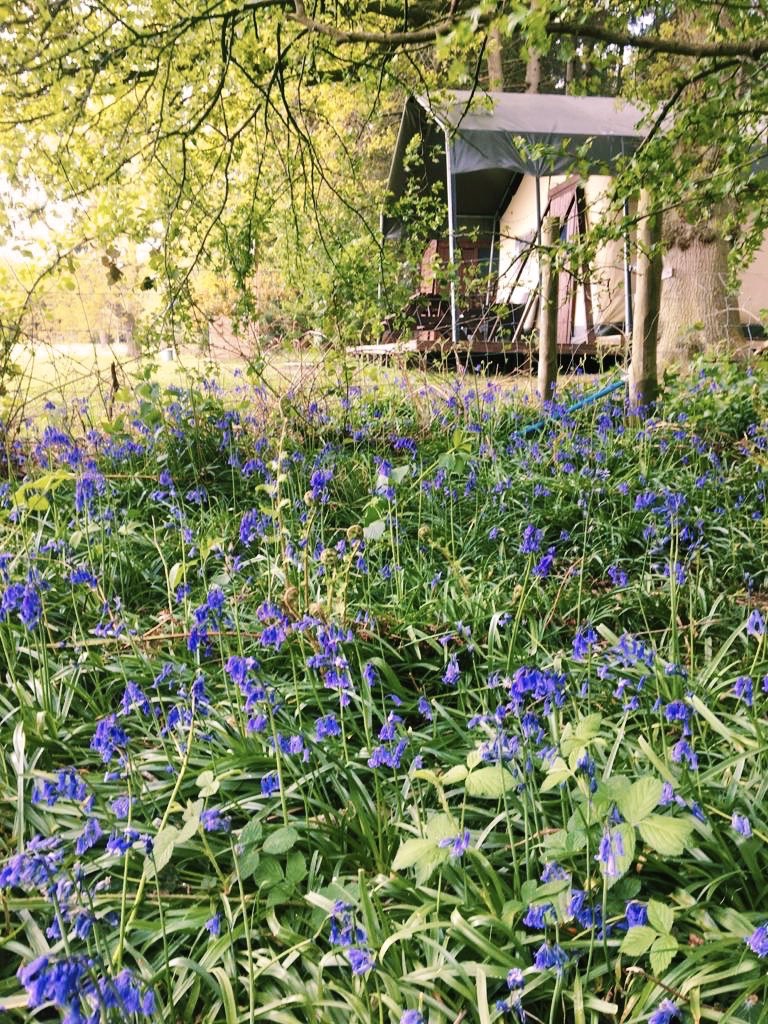 Starting to dream about them #PostLockdownPlans 🍃⁣⁣
⁣⁣
Well, we will just have to wait a little longer...⁣⁣
⁣⁣
#StayHomeStaySafe #StayAlert #Lockdown #UKlockdown #Staycation #Glamping #Holiday #UKHoliday #staycations