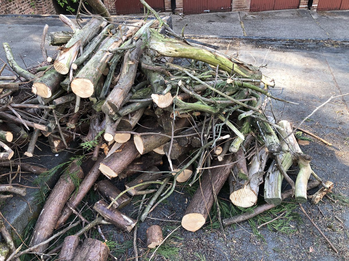 Lots of logs and kindle wood ready for the log burner #summergarden #GardenersWorld