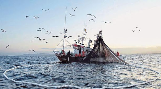 Faicislfvg's tweet photo. Coordinamento Nazionale FAI CISL #Pesca: affrontate le diverse problematiche locali delle marinerie italiane, in special modo quelle riguardanti l’emergenza da #COVID19 🛥️
@fai_cisl @SGiangiacomi @cislfvg
#pescatore #cig #fermopesca #tutele https://t.co/mn5sYmRtPx