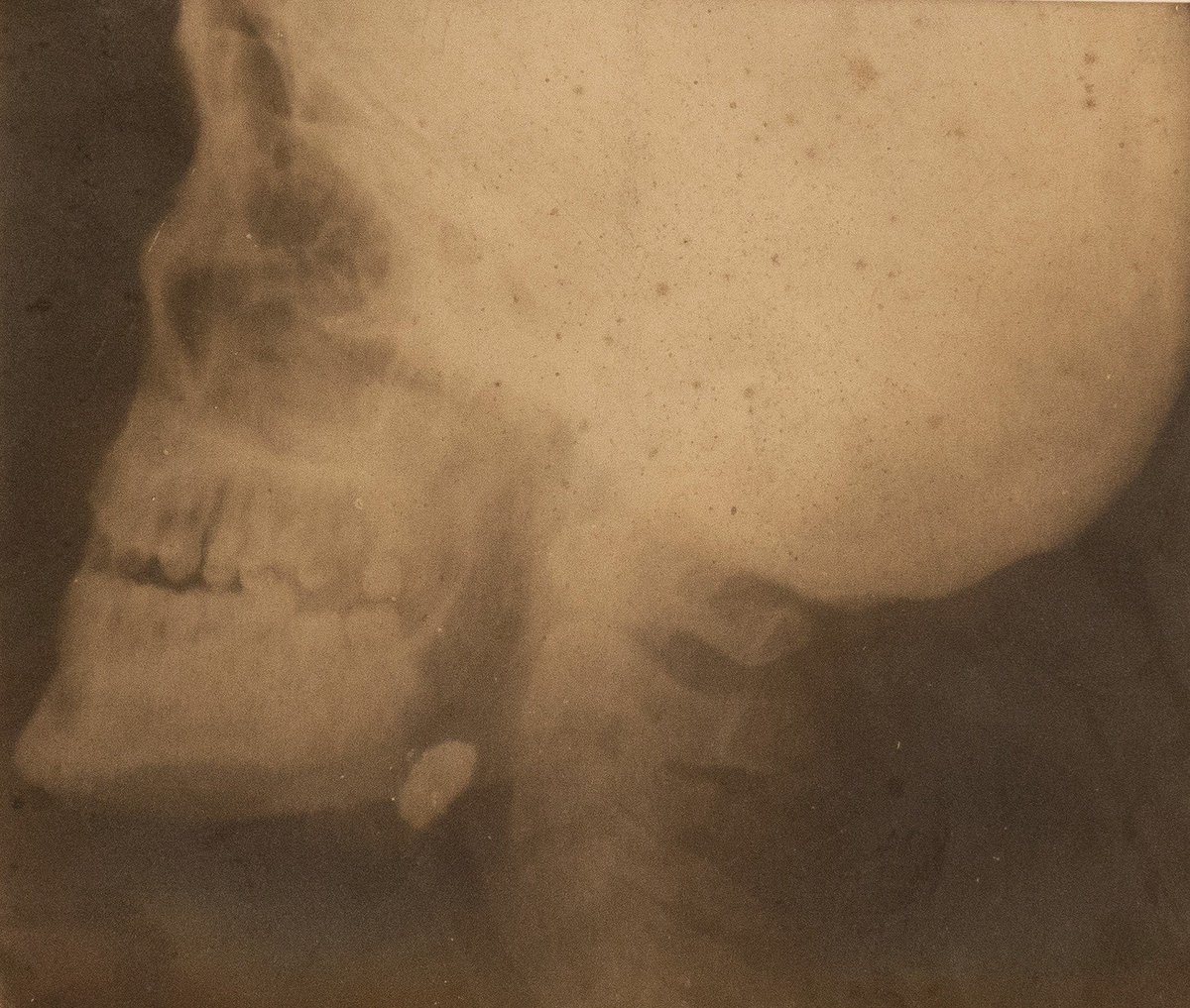 #EroiMW il nostro eroe è il generale medico Lorenzo Bonomo che prese parte alla Prima Guerra Mondiale. Si impegnò per costruire il Policlinico cittadino e istituire l’Università di Bari, dove insegnò Medicina Operatoria fino alla morte.
#MuseumWeek #MuseumWeekItaly #Togetherness