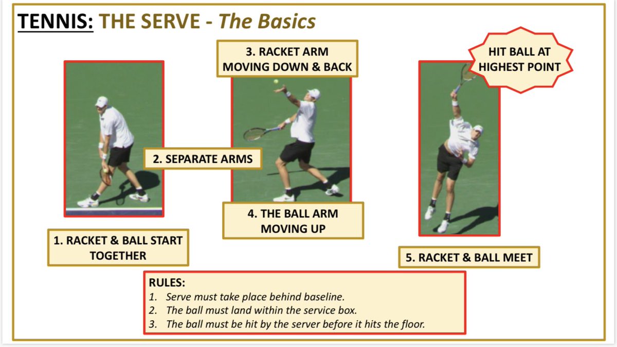 Miss Steer PE tweet media