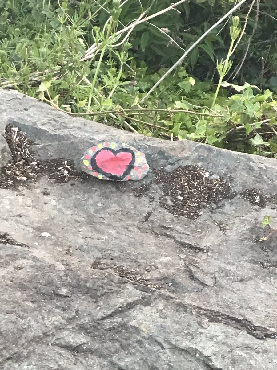 MonHarding's tweet photo. Found another of the Clondalkin #happyrocks and moved it along #walkingthroughthecrisis https://t.co/ygrNk96YmP