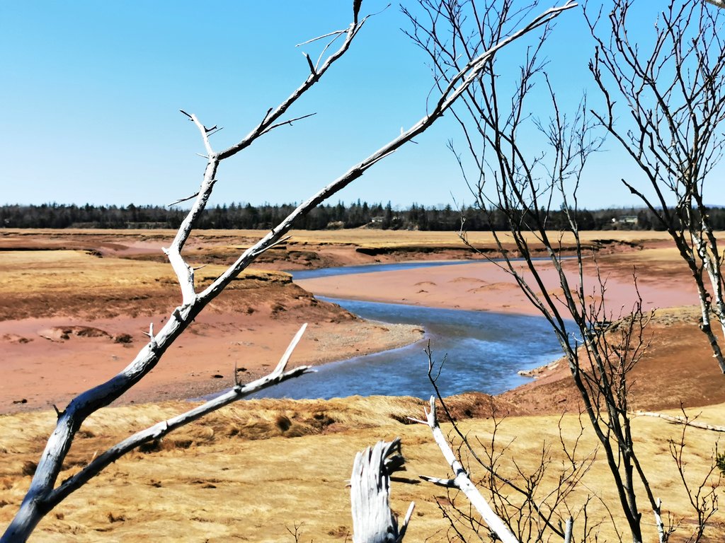 AlexaMacLean902's tweet photo. I drove down to Portapique this morning. I was assigned to gather some updated footage after the latest RCMP statement was released.
This community is stunningly beautiful and also, so very strong. https://t.co/d6wCgf0mty