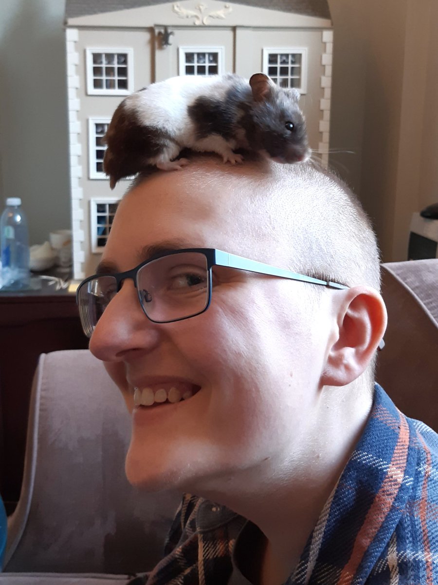 madhamfurryroad's tweet photo. dady hedd is diffrunt?? also im got smorched https://t.co/sxLfO140CG