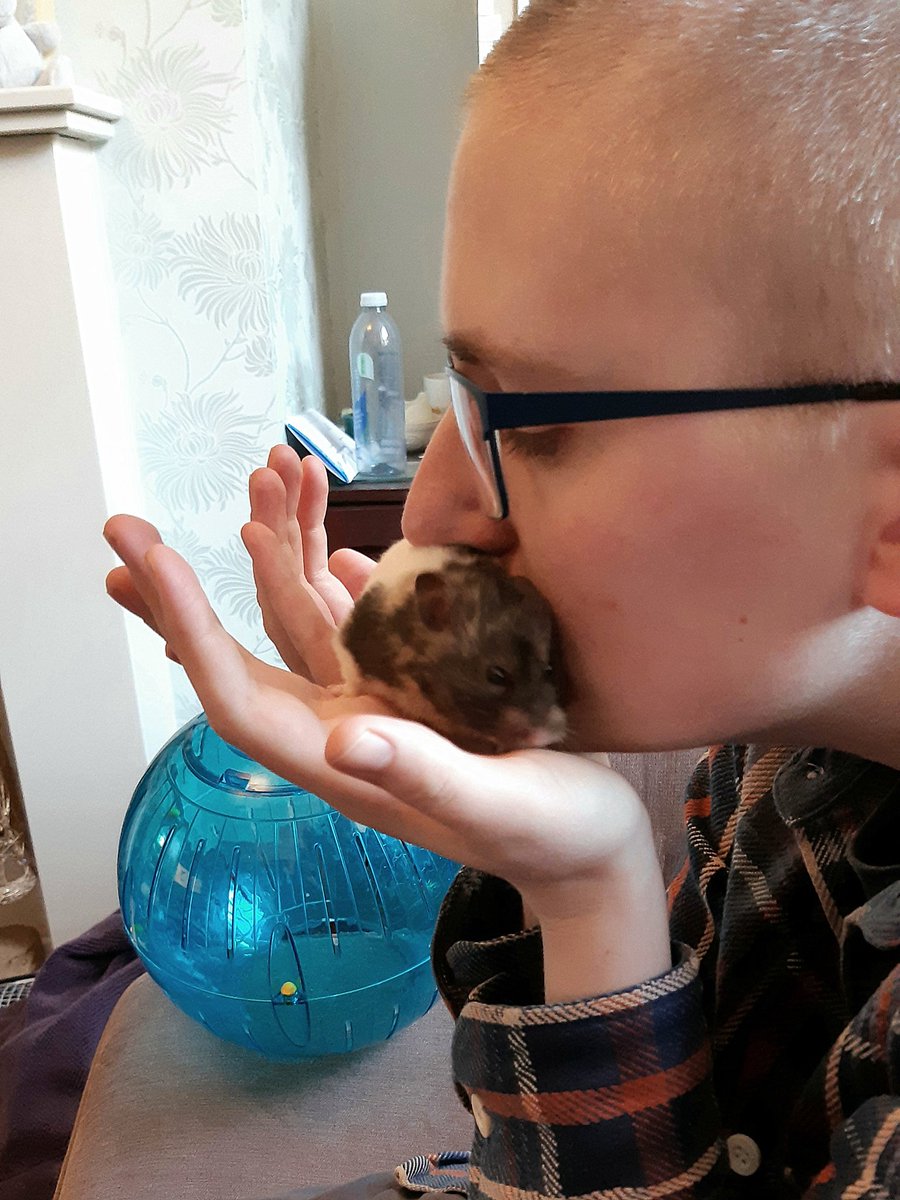 madhamfurryroad's tweet photo. dady hedd is diffrunt?? also im got smorched https://t.co/sxLfO140CG