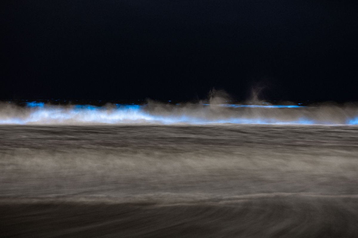 Magic last night. #bioluminescentwaves #bioluminescent #SantaMonica #socalbeaches