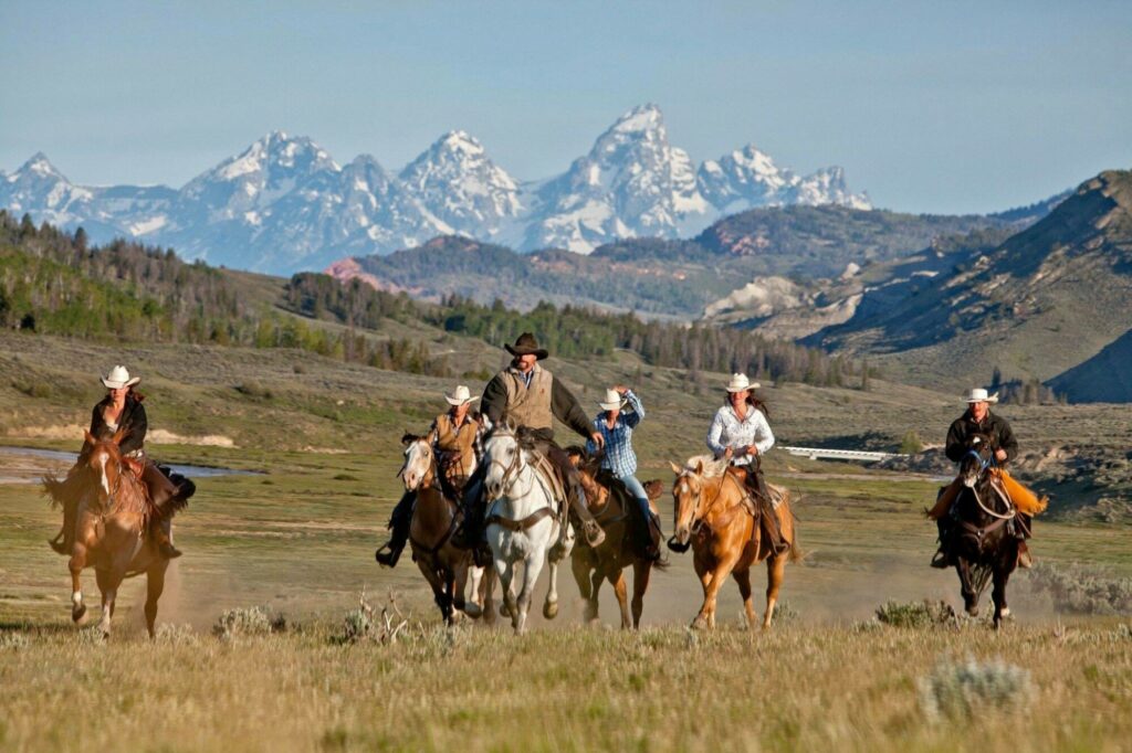 Goosewing Ranch tweet media