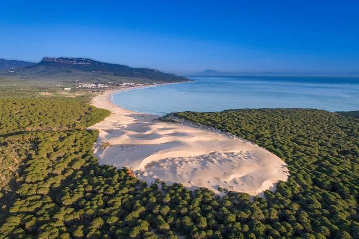 Esta noche se la dedico a (Cádiz) que bonito son las playas Bolonia y Tarifa 😍😍😍#QuedateEnAndalucia