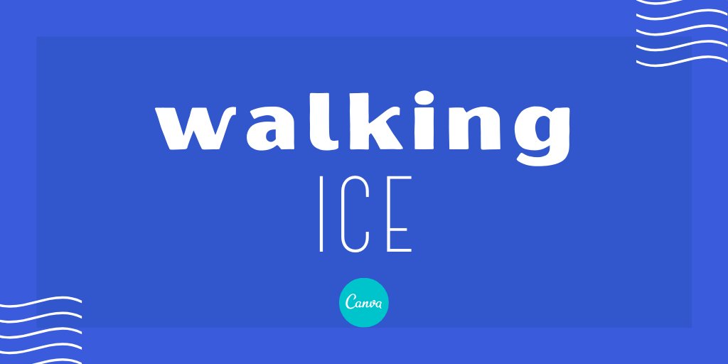 Canva tweet media