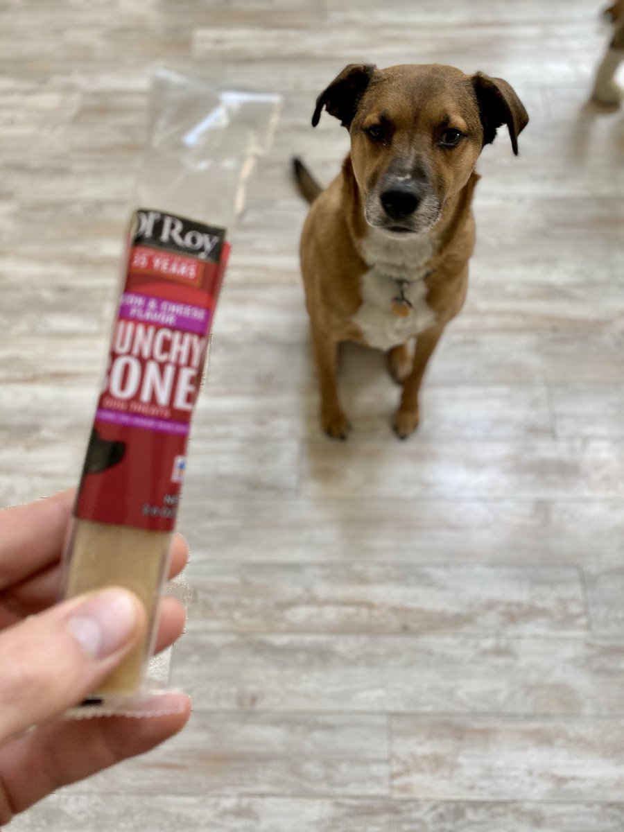 AnthonyAP31's tweet photo. Some movie night snacks for the entire family (pups included) , courtesy of @BillLapicola. Thanks for the CoVID appreciation care pack, boss! #MyBossIsBetterThanYours #BaTNYNJ #LifeAtATT #JustInTimeForHBOMAX #MiaAndBuddySaidThanksToo @judy_cavalieri https://t.co/EcqQa65NgL