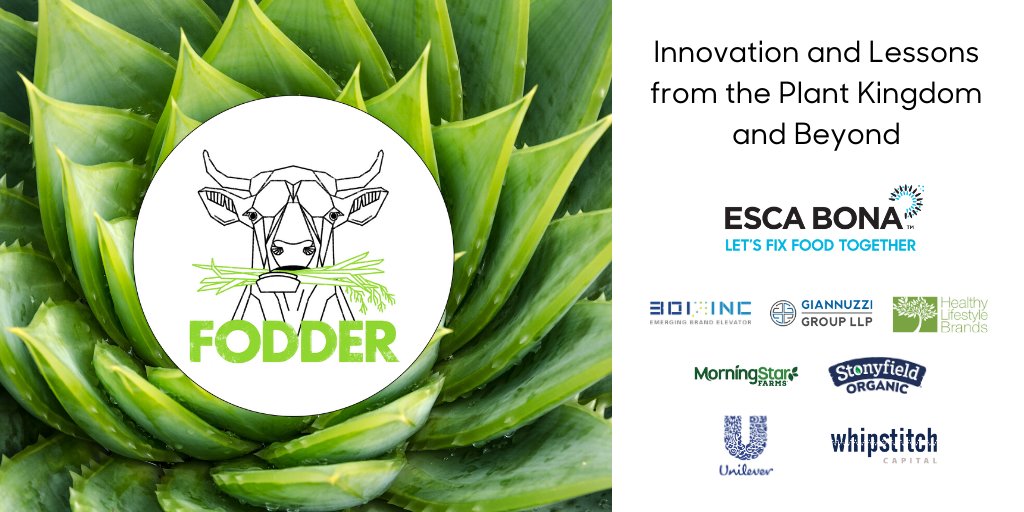 EscaBona's tweet photo. In this episode of the Fodder podcast, learn about some of Paul Schulick’s latest lessons from the plant kingdom and how its world intersects with ours. It all matters when it comes to innovation. https://t.co/C6BhtVeTNA 🌿
#EscaBona #GoodFood #FodderPodcast #PlantInnovation https://t.co/CqeuN37C9B