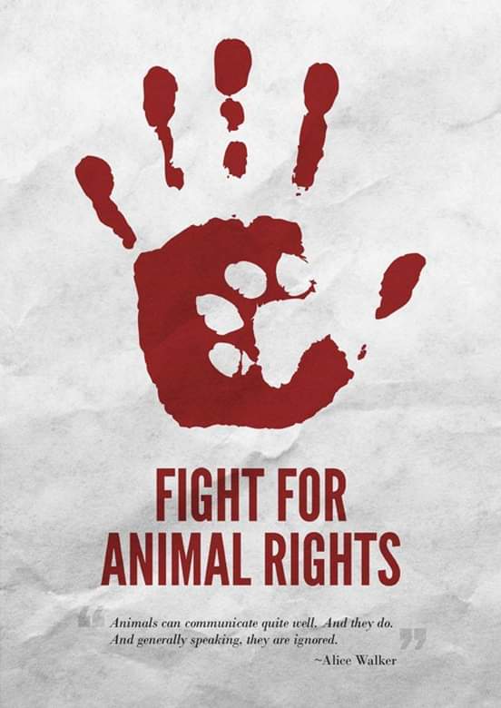 Animals are too living species like humans. But laws among us are separate from each other. The outdated laws should be amended, new laws should be implemented. People who done any tiny mistake to these animals should be punished. #lka #fightforanimalrights