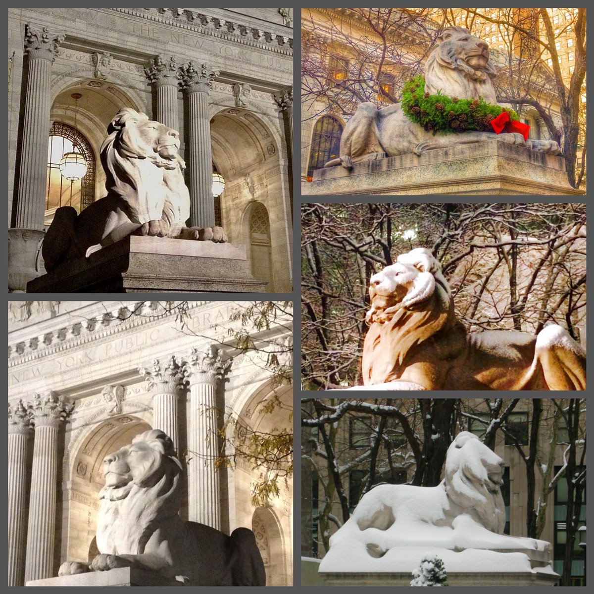 500efr's tweet photo. Happy Birthday! #PatienceAndFortitude https://t.co/Rb5wgtvzpF
