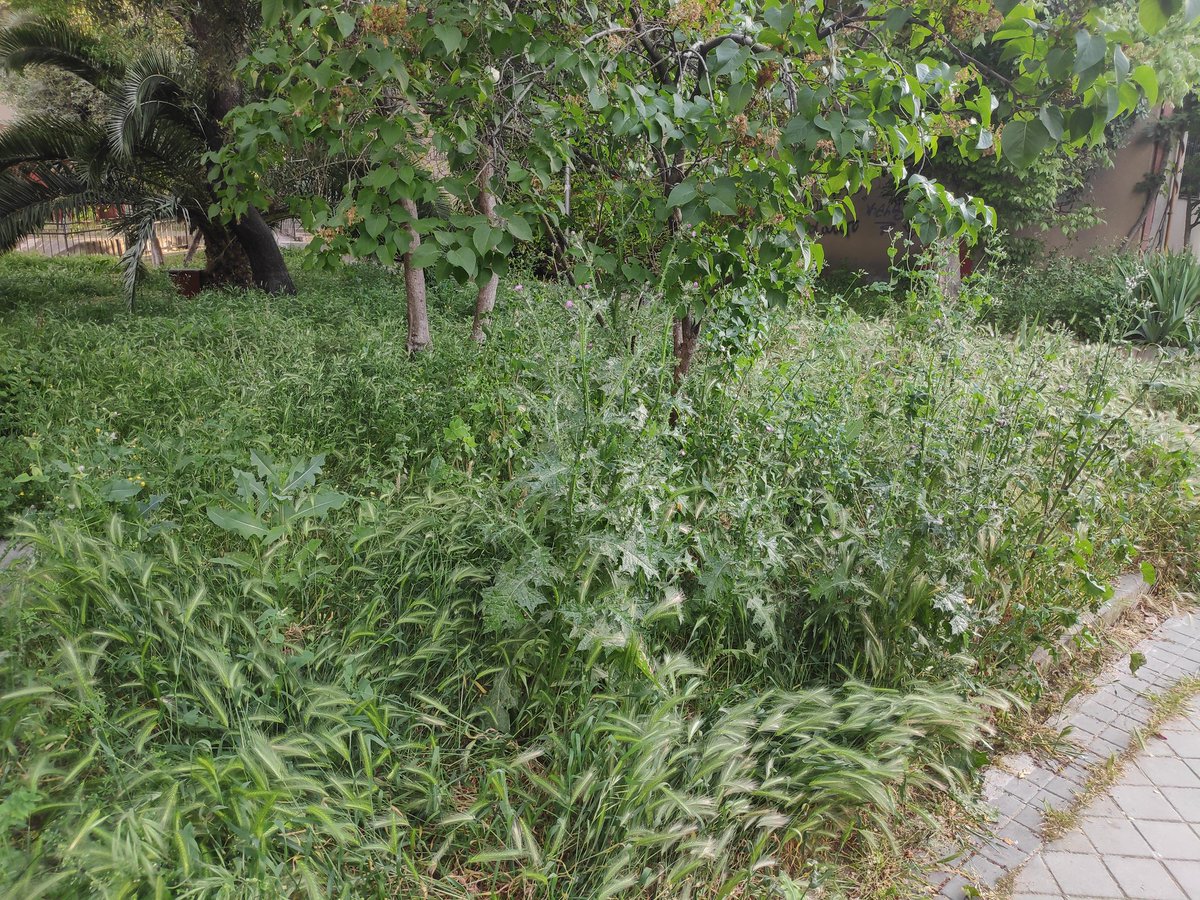 Irene Ordoñez tweet media