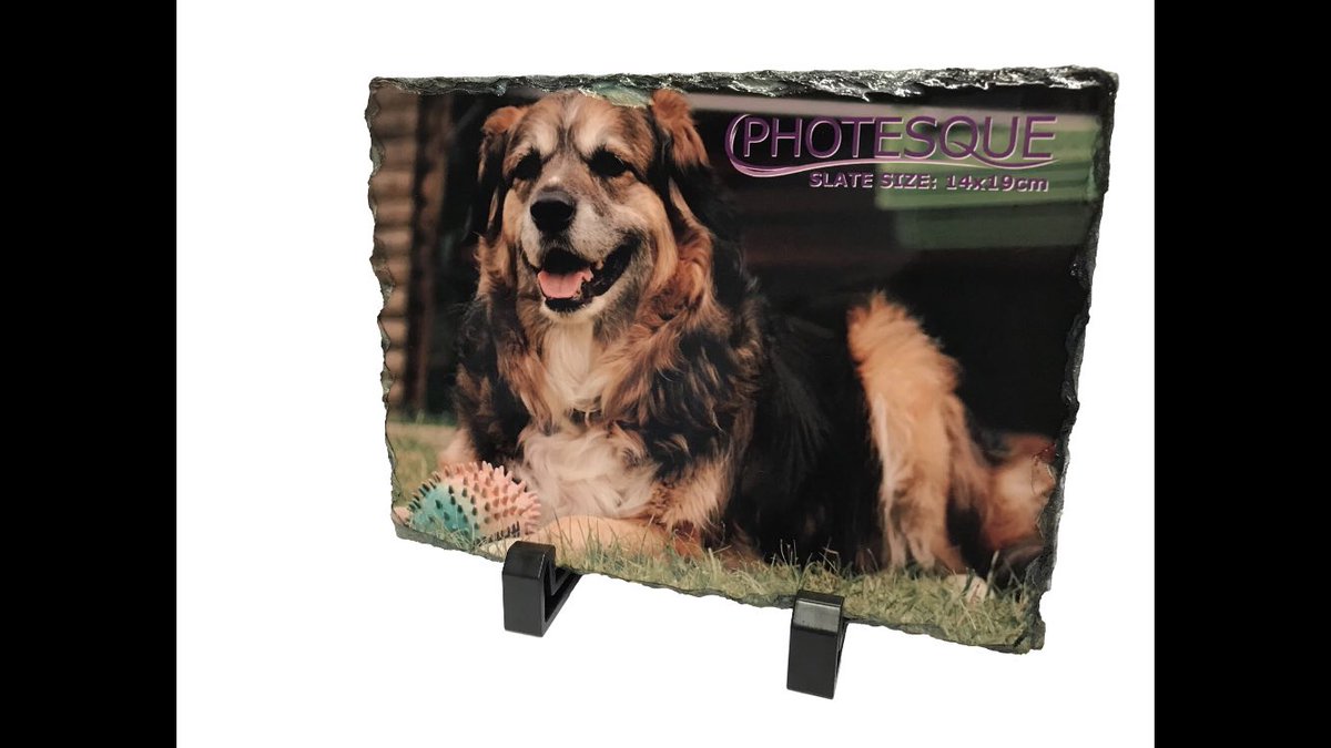 photesque's tweet image. While in lockdown, try to get a nice picture of your pet! Then saver the moment by getting it put onto a slate to last forever!