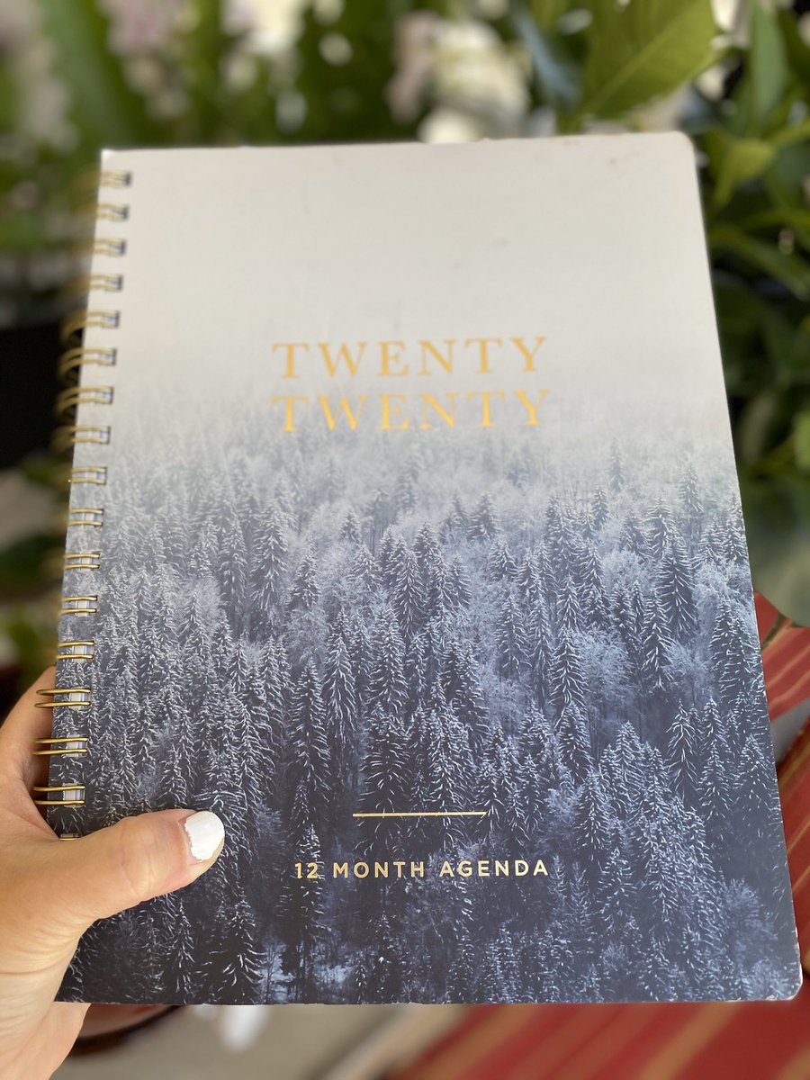 OlgaKhakova's tweet photo. The least useful purchase yet #2020planner https://t.co/3xqpHTRL8Q