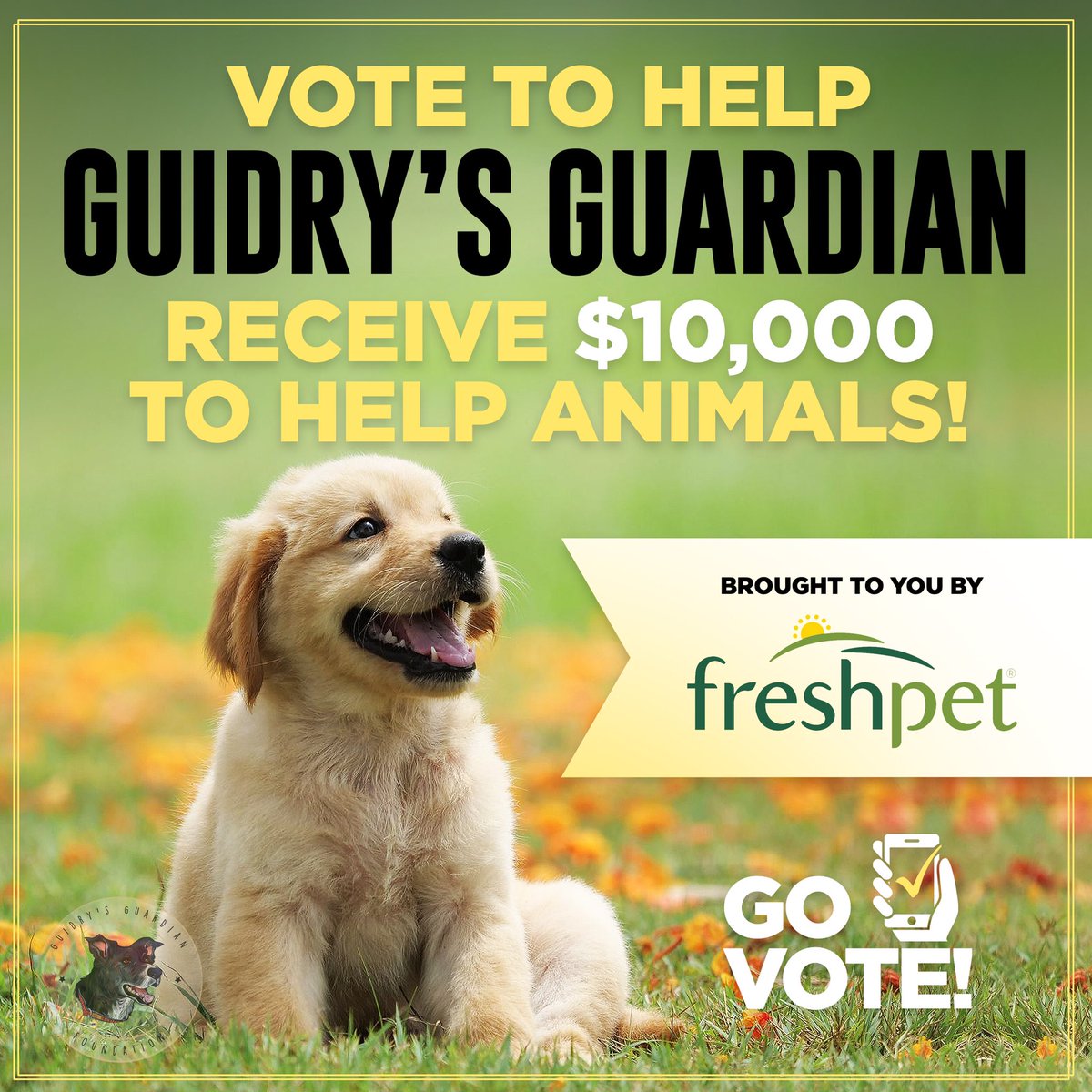 alannarizzo's tweet image. PLEASE HELP US WIN $10,000.  It doesn’t cost you anything!  freshpet.com/fresh-start/.  Type in Guidry’s Guardian Foundation and cast your vote.  You can vote daily from today until 5/17/20!  We could REALLY use your help!  Please vote and retweet!  Thank you!