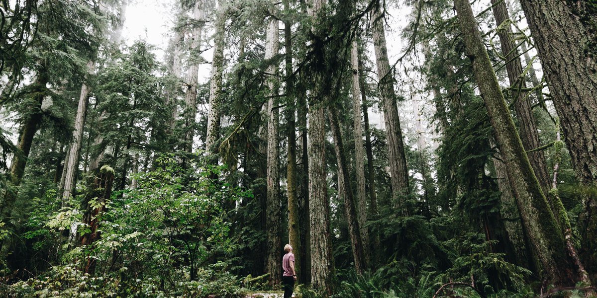 Oakwyn's tweet image. Being able to quickly escape to the forest is a luxury that Vancouverites enjoy all year round. We live where we love because of the ability to live an active, balanced lifestyle that keeps us inspired to continue pushing forward.

#LiveWhereYouLove #VancouverBC