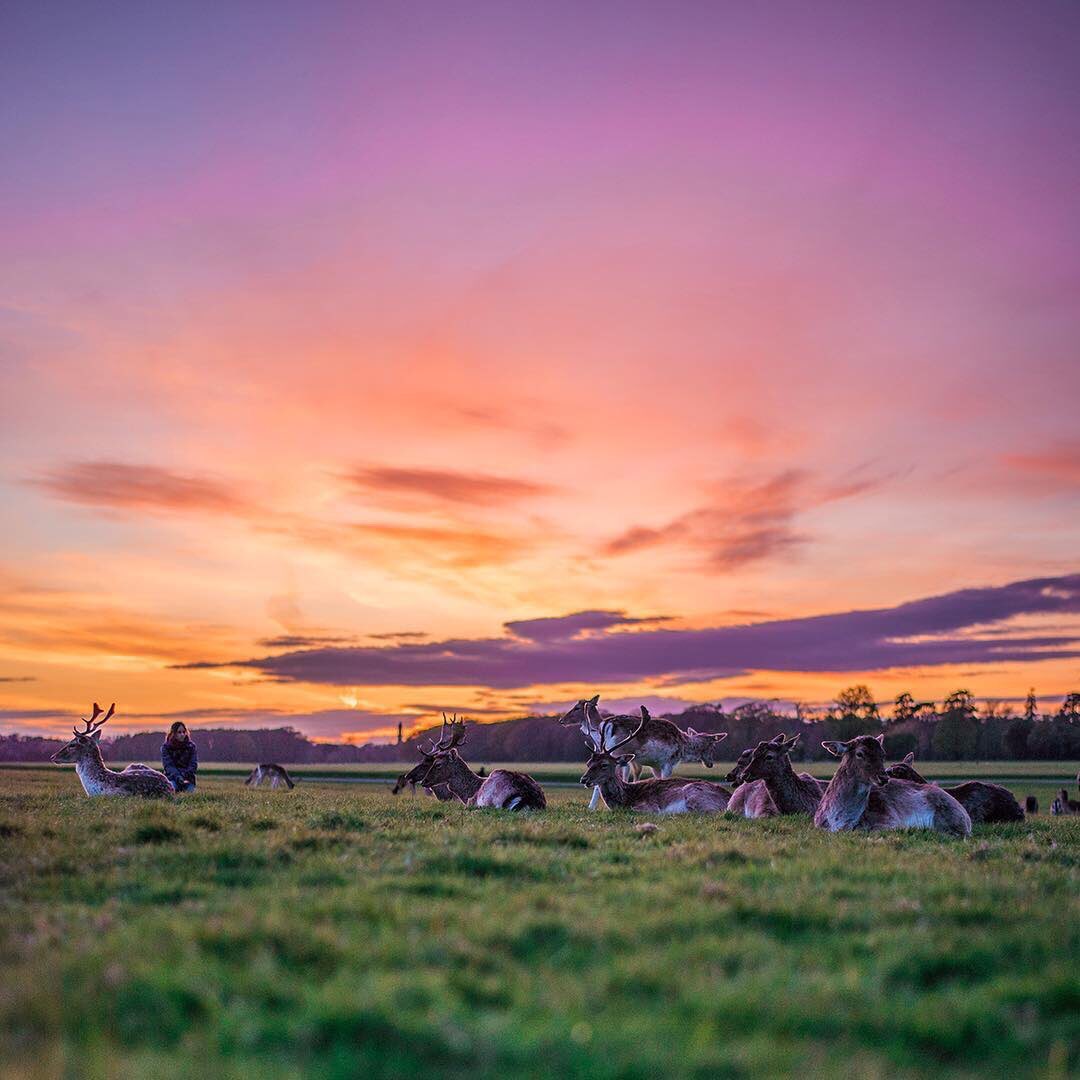 "Anjeunna nyambungkeun peuting kana beurang sarta beurang kana peuting; Anjeunna Maha Uninga kana saniskara eusining haté" (QS. Al-Hadīd: 6)