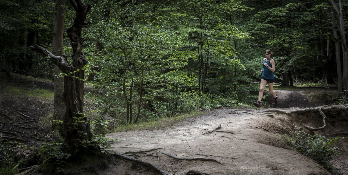 Longhaul Endurance tweet media