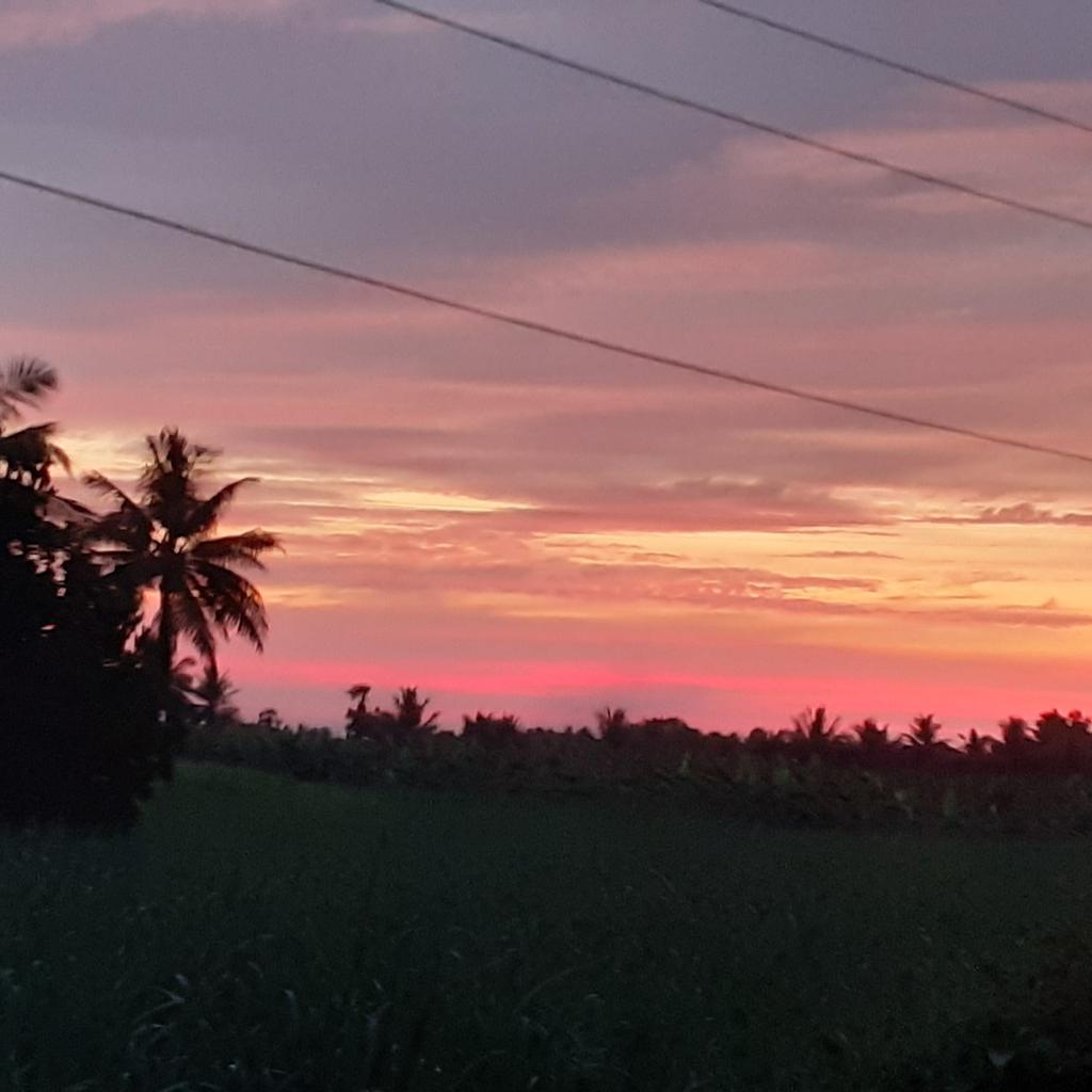 Gunalanthiyagu's tweet image. செக்கச்சிவந்த வானம்..

#Zeroedit