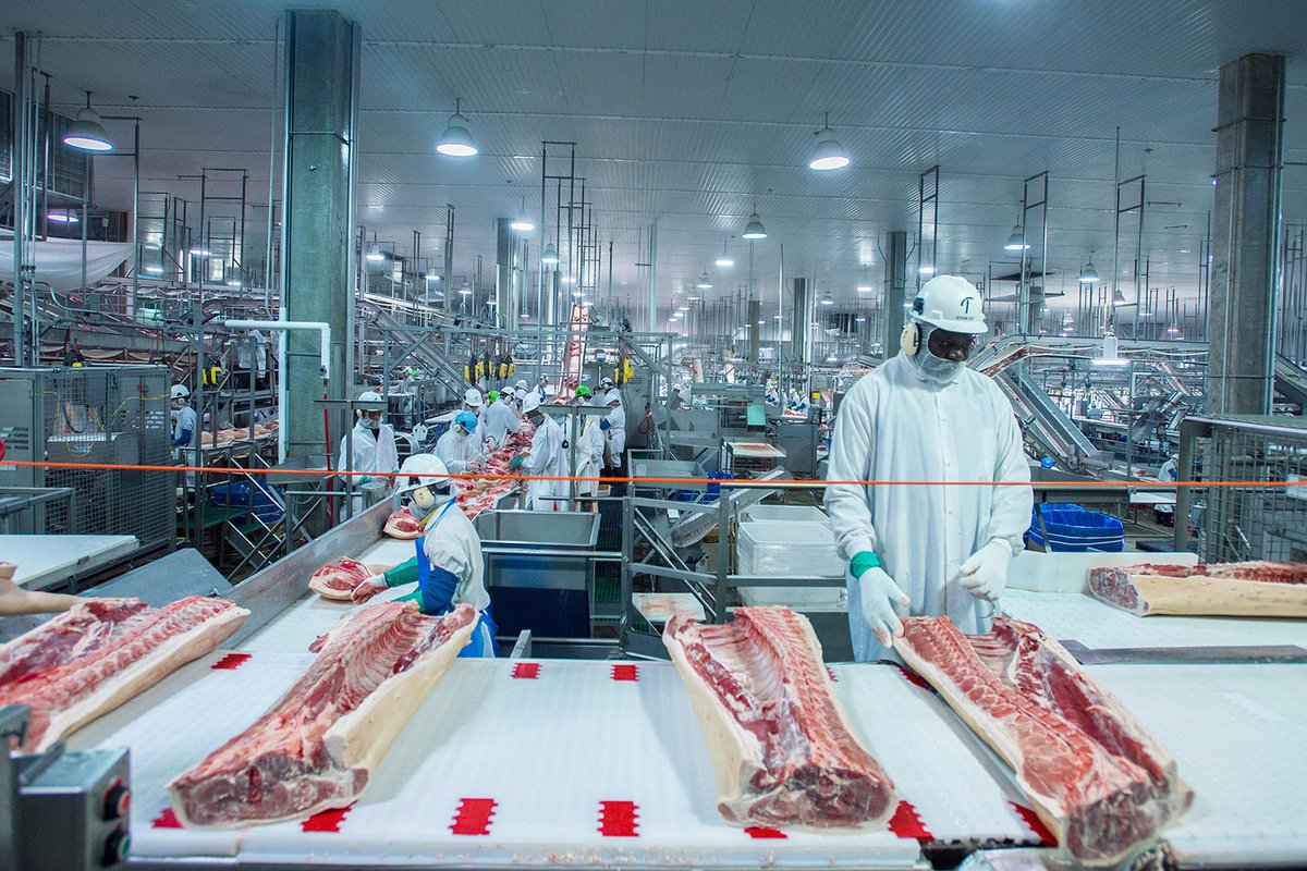 GeorgetownKILWP's tweet photo. "People Ain’t Gonna Come to Work if They Don’t Feel Safe"

@chrismartin100 of @northerniowa reports on the reality for workers in meatpacking plants during the #COVID19 crisis.

#WorkingClassPerspectives

https://t.co/wag2i60svX https://t.co/AGbBKcHSfy