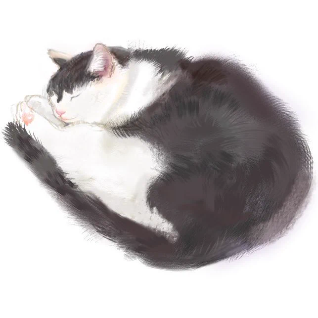 描き出しはやいのに詰めるのにクソ時間かかるの、根本はアナログとかわらないね… 