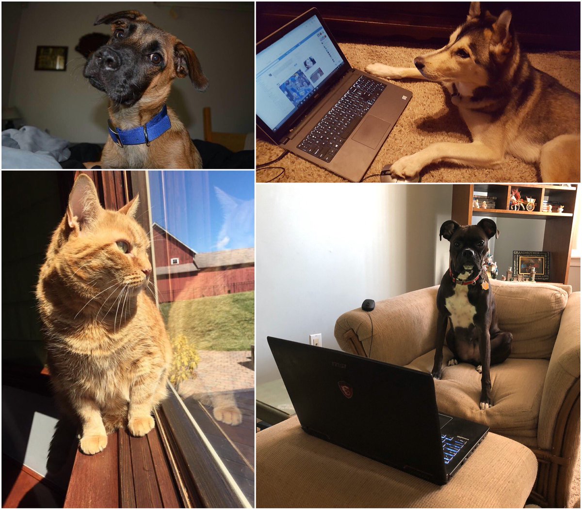 influential drones tweet media