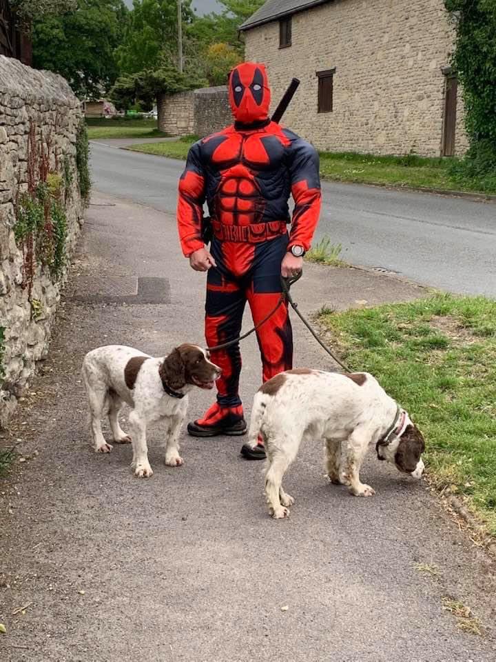 Steve’s dog walk yesterday and today! Deadpool and a whoopee cushion  I can’t believe he’s still going!!