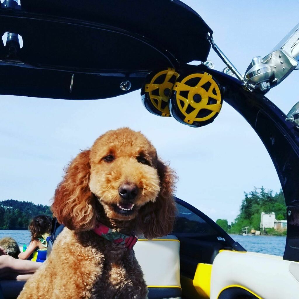 Exile Audio tweet media