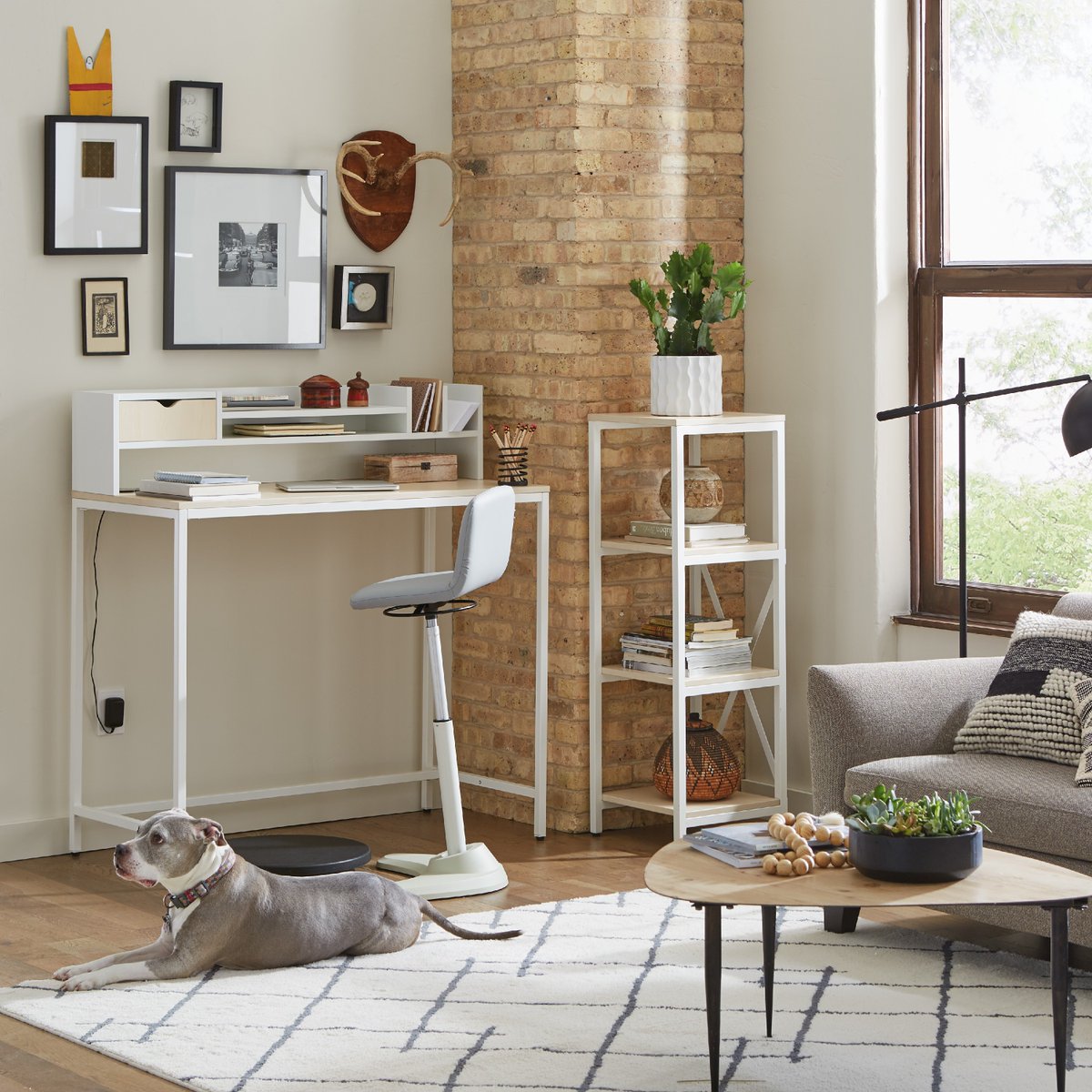 NBFonline's tweet photo. Need quick-to-assemble home office furniture that fits into your budget? Allow us to introduce you to our Fed-Ex shippable, affordable, and beautiful Brite collection! Shop the look and use code SOMAY9 for 9% off 👉 https://t.co/i8WpwFxxHB https://t.co/ha6nm50s9D