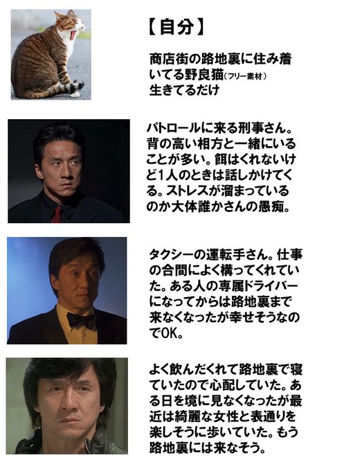 トップセレクション 猫 ヤクザ 相関図